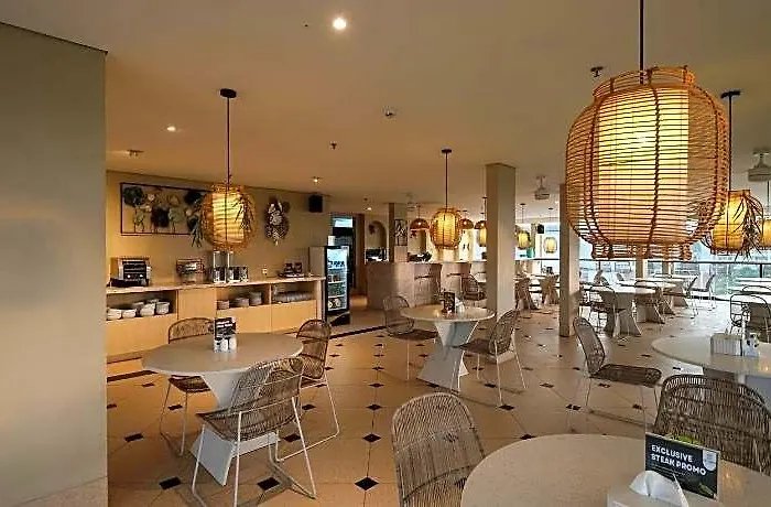 Aster Bali